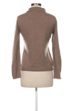 Damenpullover Adagio, Größe S, Farbe Braun, Preis 20,99 €