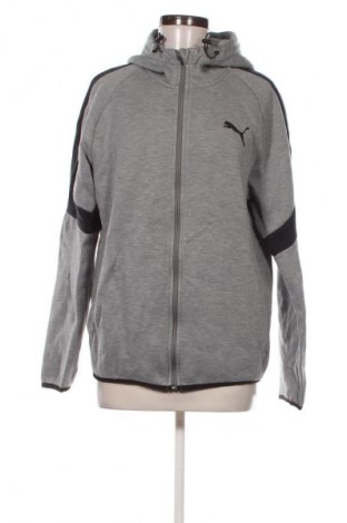 Γυναικείο φούτερ PUMA, Μέγεθος L, Χρώμα Γκρί, Τιμή 11,99 €