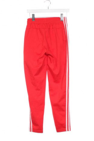 Damskie spodnie sportowe Adidas, Rozmiar XS, Kolor Czerwony, Cena 121,99 zł