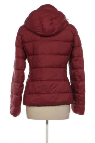 Damenjacke Esprit, Größe M, Farbe Rot, Preis € 61,99