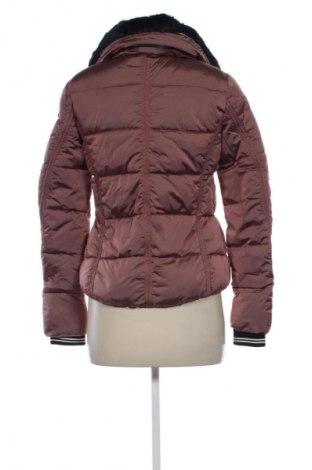Damenjacke Gaastra, Größe S, Farbe Aschrosa, Preis € 61,99