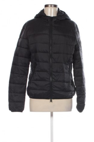 Damenjacke Pinko, Größe XL, Farbe Schwarz, Preis € 309,99
