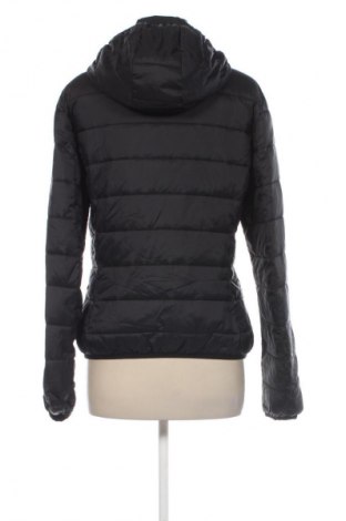 Damenjacke Pinko, Größe XL, Farbe Schwarz, Preis € 309,99