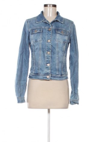 Damenjacke Promod, Größe M, Farbe Blau, Preis 37,99 €