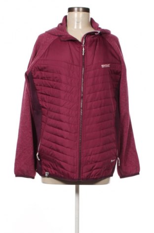 Damenjacke Regatta, Größe XL, Farbe Lila, Preis 46,99 €