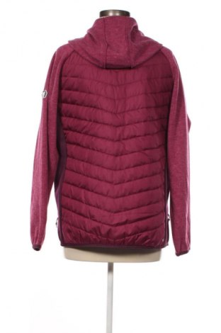 Damenjacke Regatta, Größe XL, Farbe Lila, Preis 46,99 €
