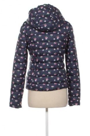 Damenjacke Superdry, Größe M, Farbe Mehrfarbig, Preis € 64,99