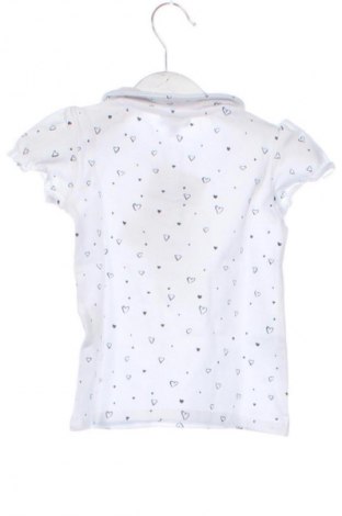 Dziecięca bluzka Fagottino By Oviesse, Rozmiar 12-18m/ 80-86 cm, Kolor Kolorowy, Cena 41,38 zł