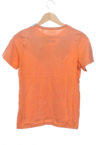 Dziecięcy T-shirt Here+There, Rozmiar 12-13y/ 158-164 cm, Kolor Pomarańczowy, Cena 27,59 zł