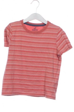 Tricou pentru copii Lupilu, Mărime 4-5y/ 110-116 cm, Culoare Multicolor, Preț 30,87 Lei