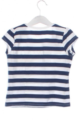 Kinder T-Shirt Pumpkin Patch, Größe 5-6y/ 116-122 cm, Farbe Mehrfarbig, Preis € 7,67