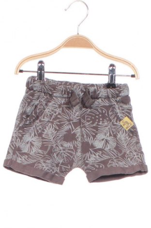 Dětské krátké kalhoty  Coolclub, Velikost 9-12m/ 74-80 cm, Barva Vícebarevné, Cena  176,00 Kč