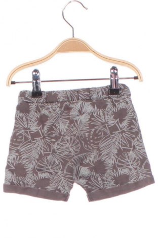 Dětské krátké kalhoty  Coolclub, Velikost 9-12m/ 74-80 cm, Barva Vícebarevné, Cena  176,00 Kč