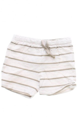 Dziecięce szorty Fred, Rozmiar 9-12m/ 74-80 cm, Kolor Kolorowy, Cena 62,07 zł