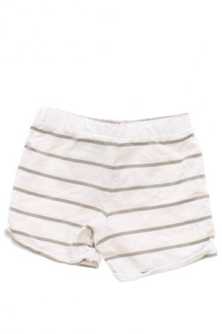 Dziecięce szorty Fred, Rozmiar 9-12m/ 74-80 cm, Kolor Kolorowy, Cena 62,07 zł