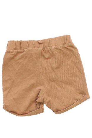 Dětské krátké kalhoty  H&M, Velikost 9-12m/ 74-80 cm, Barva Hnědá, Cena  178,00 Kč