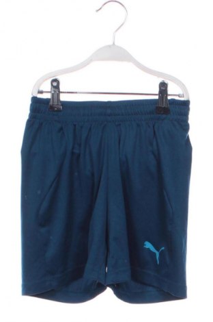 Kinder Shorts PUMA, Größe 8-9y/ 134-140 cm, Farbe Blau, Preis 15,86 €