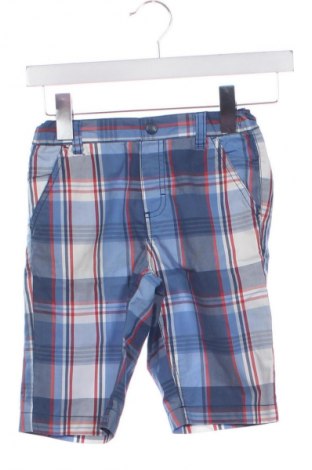 Kinder Shorts Palomino, Größe 6-7y/ 122-128 cm, Farbe Mehrfarbig, Preis € 13,61