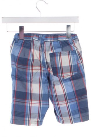Kinder Shorts Palomino, Größe 6-7y/ 122-128 cm, Farbe Mehrfarbig, Preis € 13,61
