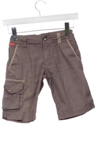 Dziecięce szorty Quechua, Rozmiar 7-8y/ 128-134 cm, Kolor Brązowy, Cena 32,18 zł