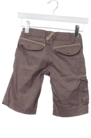 Dziecięce szorty Quechua, Rozmiar 7-8y/ 128-134 cm, Kolor Brązowy, Cena 32,18 zł