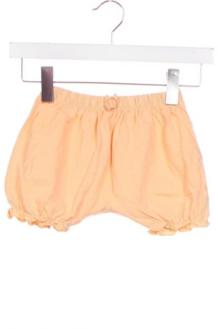 Kinder Shorts Unbranded, Größe 12-18m/ 80-86 cm, Farbe Orange, Preis € 7,00