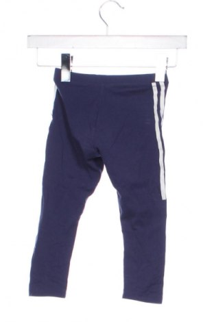 Dziecięce legginsy Primigi, Rozmiar 18-24m/ 86-98 cm, Kolor Kolorowy, Cena 34,48 zł