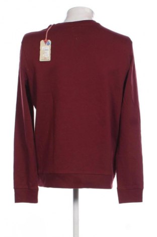 Herren Shirt Lee Cooper, Größe L, Farbe Lila, Preis € 43,99