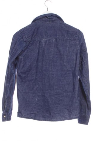 Herrenhemd CKS, Größe S, Farbe Blau, Preis € 38,99