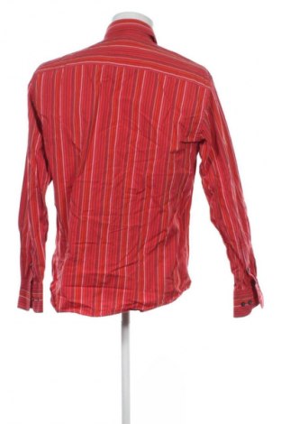 Herrenhemd Tom Tailor, Größe L, Farbe Mehrfarbig, Preis € 23,99