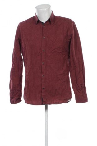 Herrenhemd Tom Tailor, Größe L, Farbe Mehrfarbig, Preis € 23,99