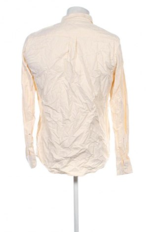 Herrenhemd Unbranded, Größe M, Farbe Mehrfarbig, Preis € 20,99