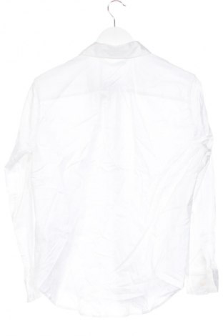 Herrenhemd Zara, Größe M, Farbe Weiß, Preis € 23,99
