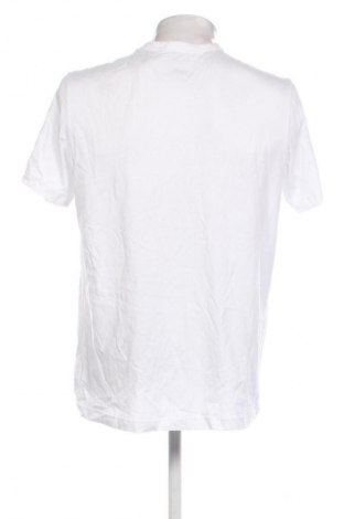 Herren T-Shirt Calvin Klein, Größe L, Farbe Weiß, Preis € 23,99