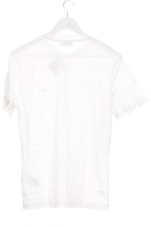 Pánské tričko  Calvin Klein, Velikost XS, Barva Bílá, Cena  549,00 Kč