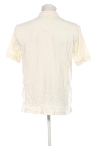 Herren T-Shirt Crocodile, Größe L, Farbe Ecru, Preis € 13,99