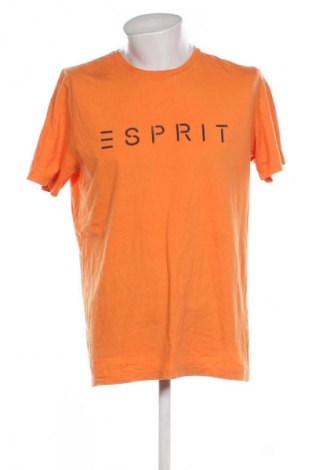 Herren T-Shirt Esprit, Größe L, Farbe Orange, Preis € 7,67