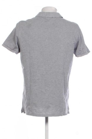 Herren T-Shirt Gant, Größe L, Farbe Grau, Preis € 28,13