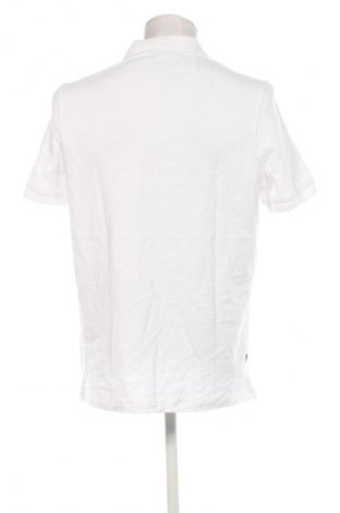 Herren T-Shirt MR MARVIS, Größe XXL, Farbe Weiß, Preis € 18,99