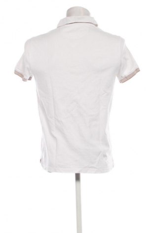 Herren T-Shirt Massimo Dutti, Größe M, Farbe Weiß, Preis € 24,55