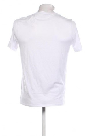 Herren T-Shirt Paul Hunter, Größe M, Farbe Weiß, Preis € 43,99