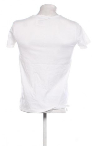 Herren T-Shirt Polo By Ralph Lauren, Größe S, Farbe Weiß, Preis 34,71 €