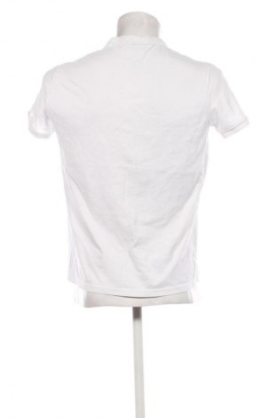 Herren T-Shirt Terranova, Größe XL, Farbe Weiß, Preis € 9,72