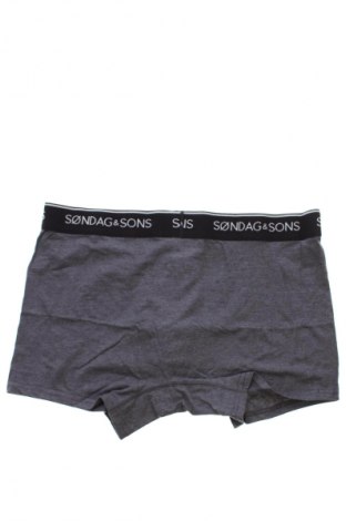 Boxeri bărbătești Sondag & Sons, Mărime L, Culoare Gri, Preț 37,99 Lei