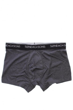 Boxershorts Sondag & Sons, Größe M, Farbe Schwarz, Preis € 6,99