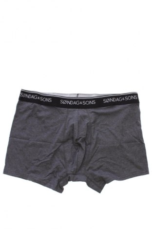 Boxershorts Sondag & Sons, Größe XL, Farbe Mehrfarbig, Preis 7,99 €