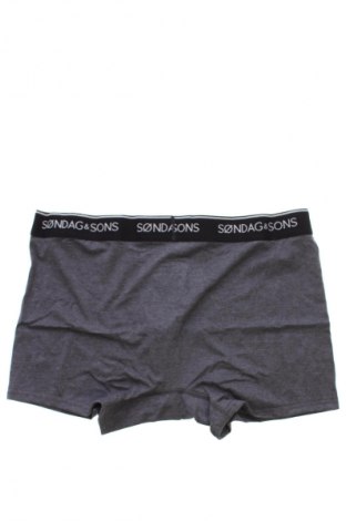 Boxershorts Sondag & Sons, Größe XL, Farbe Mehrfarbig, Preis 7,99 €
