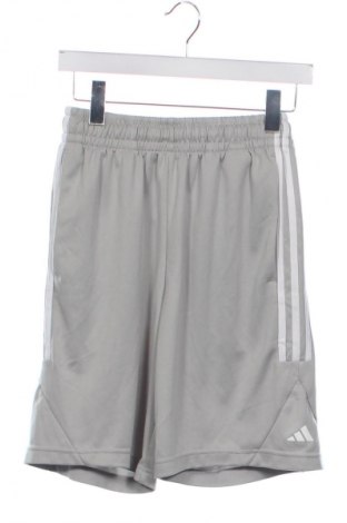 Herren Shorts Adidas, Größe XS, Farbe Grau, Preis 28,99 €