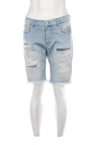 Herren Shorts Review, Größe L, Farbe Blau, Preis € 53,99