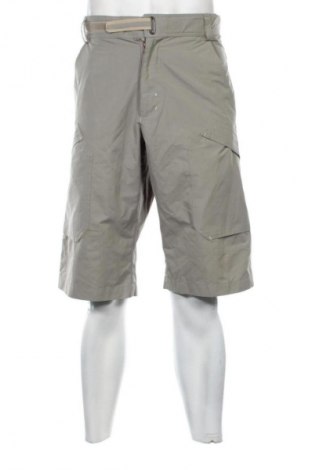 Herren Shorts Rossignol, Größe S, Farbe Grün, Preis € 30,18